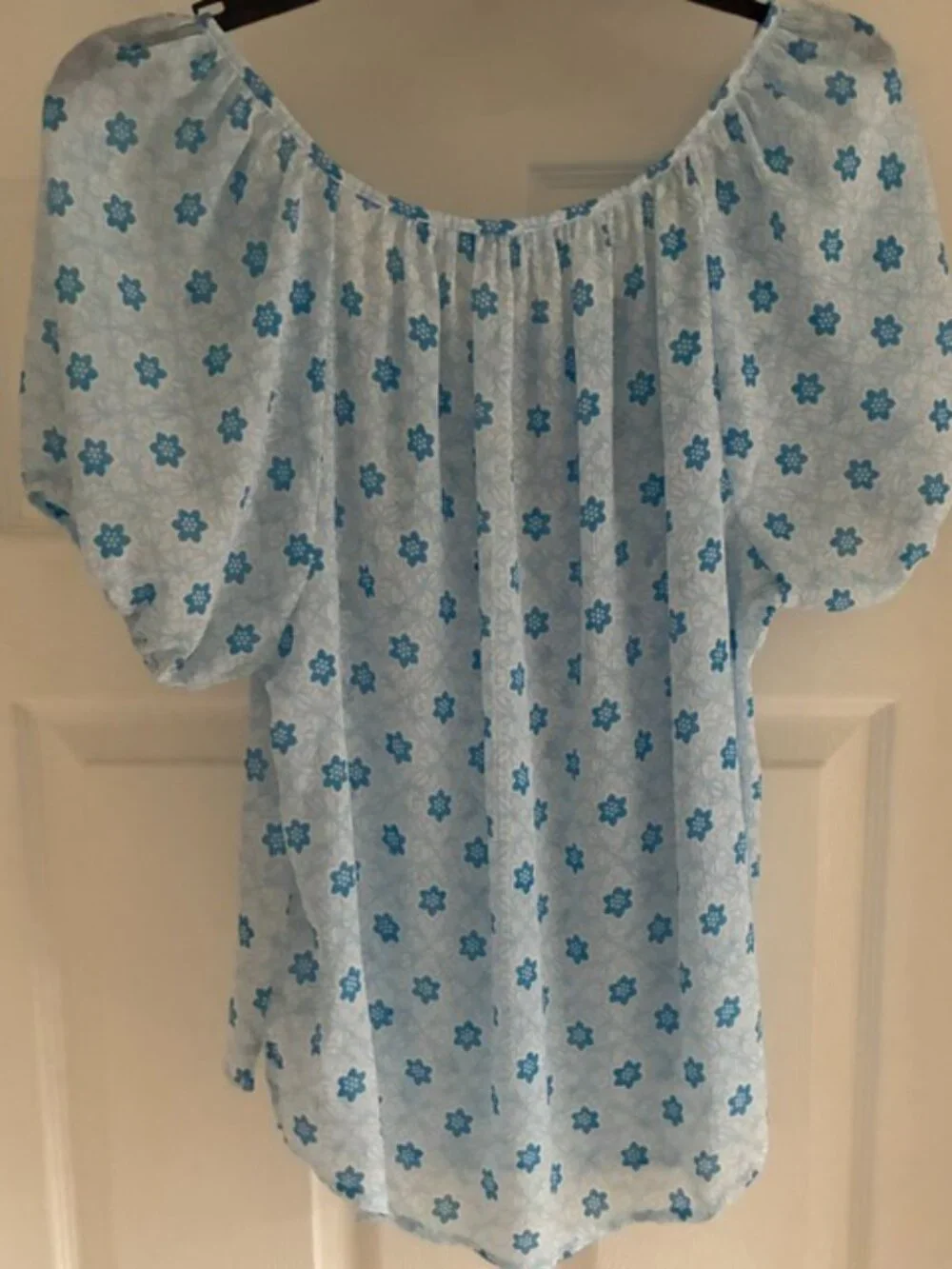 Abercrombie & Fitch Blue Floral Puff Sleeve Pleated Tie Front Semi Sheer